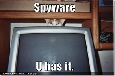 funny-pictures-spyware-cat-computer-monitor