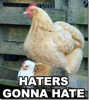 haters-hen
