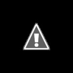 Wiinja – Modchip para Nintendo Wii