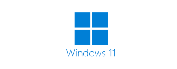 Windows 11